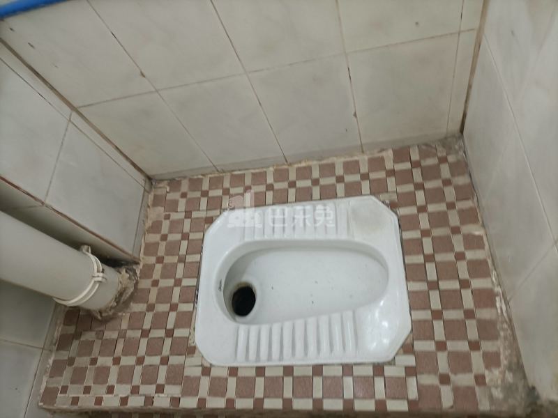 棠溪村岗贝西一巷18号5244036卫生间图6