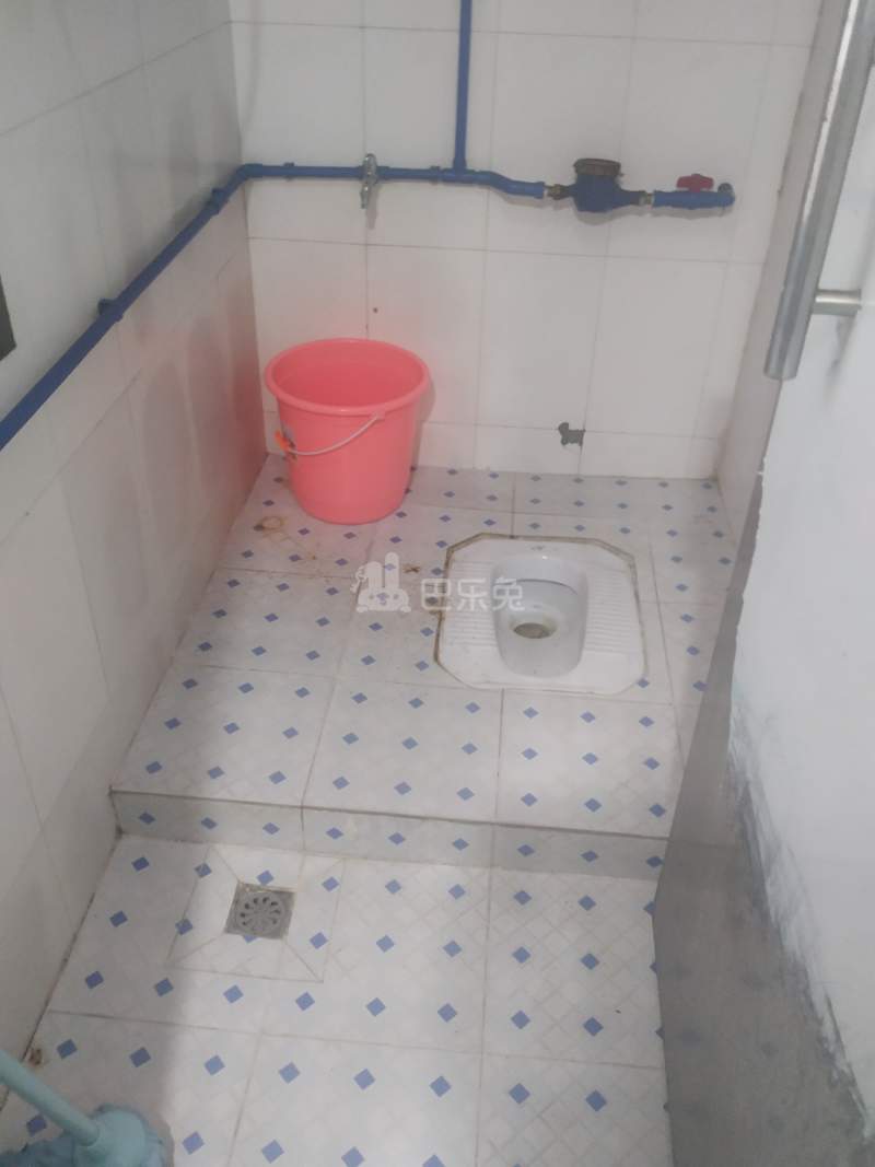 棠溪村岗贝西一巷18号5244039卫生间图7
