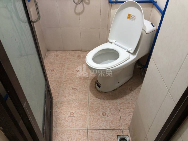 棠溪村岗贝西一巷18号5244040卫生间图7