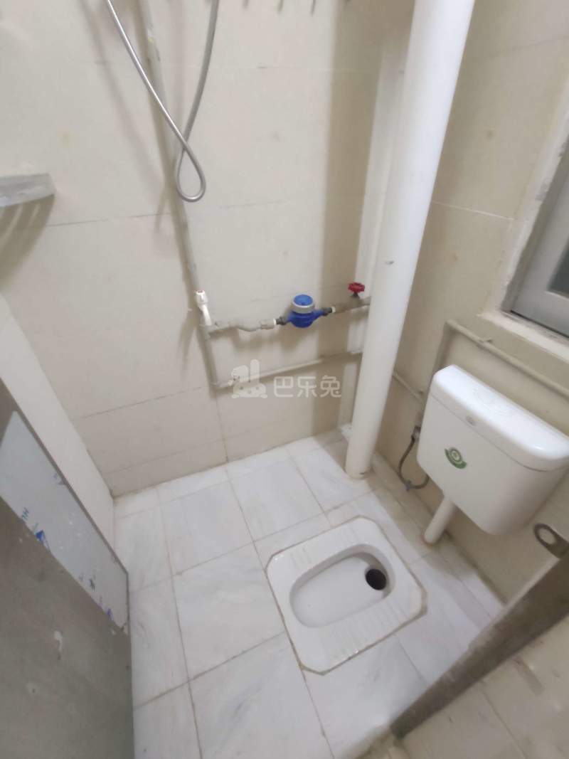 南景雅居（棠溪南天外大街10号）5258469卫生间图6