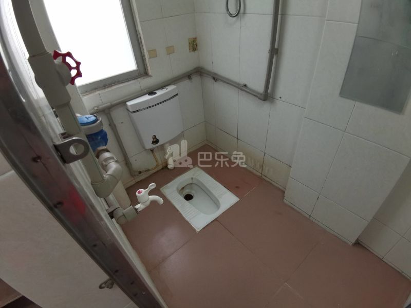 南景雅居（棠溪南天外大街10号）5258553卫生间图5