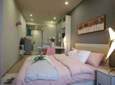 哈租客公寓(中大银泰城店) 1室1厅1卫