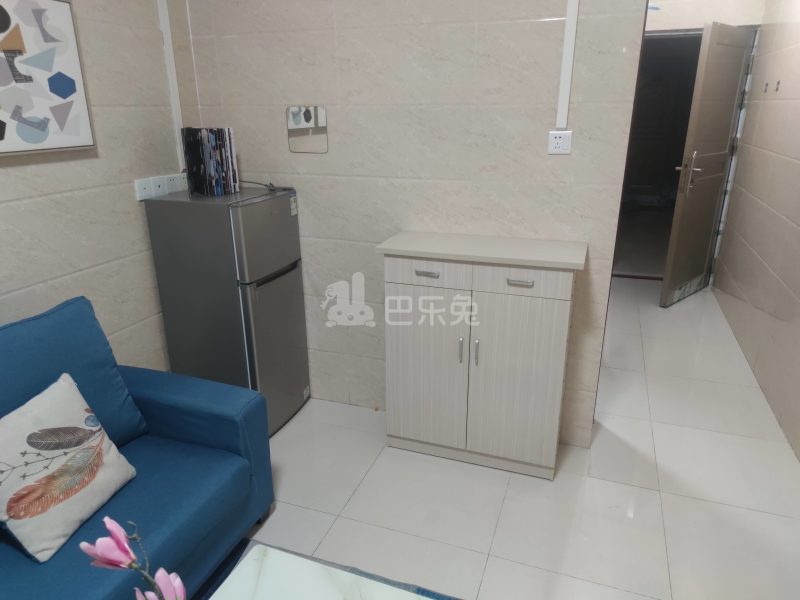 怡福公寓（嘉禾望岗村忠和街六巷1号）5289247客厅图10