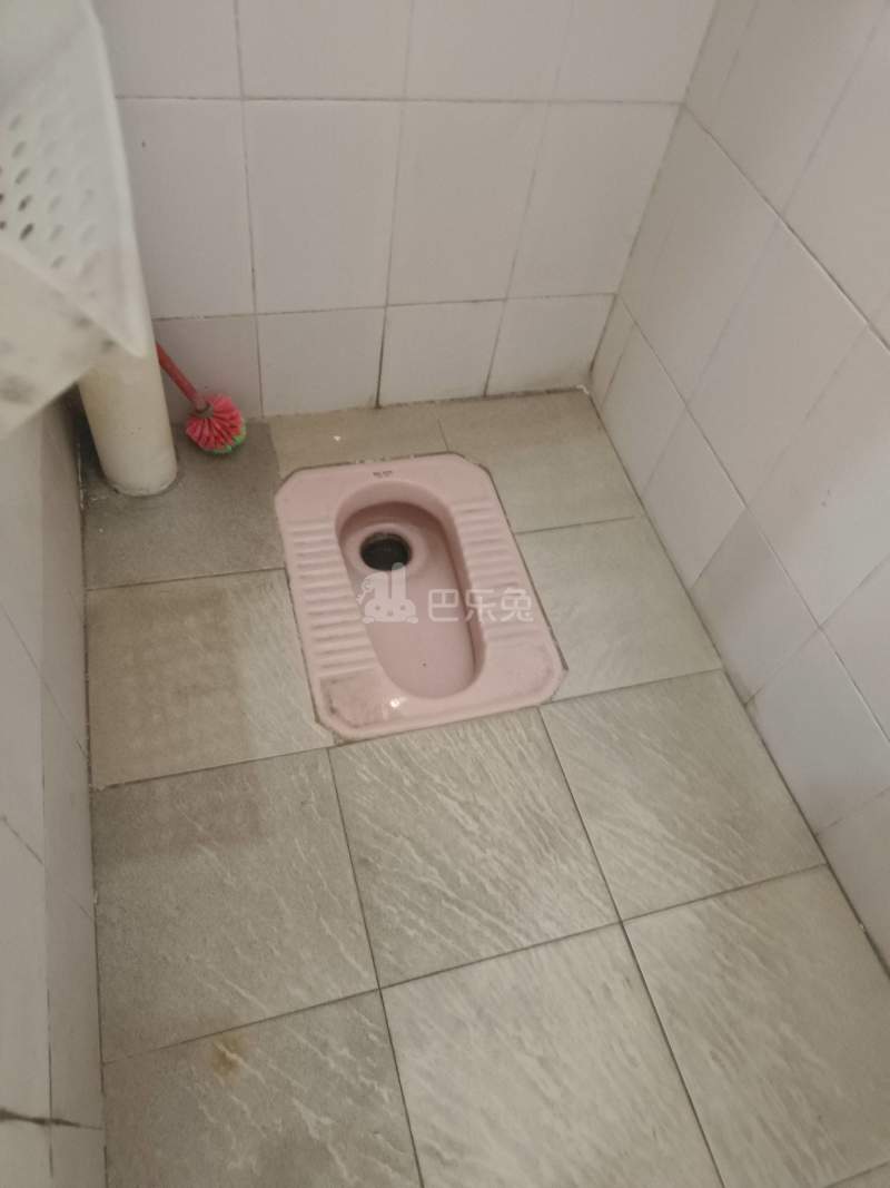 武夷公寓（棠下南街41号）5306520卫生间图6