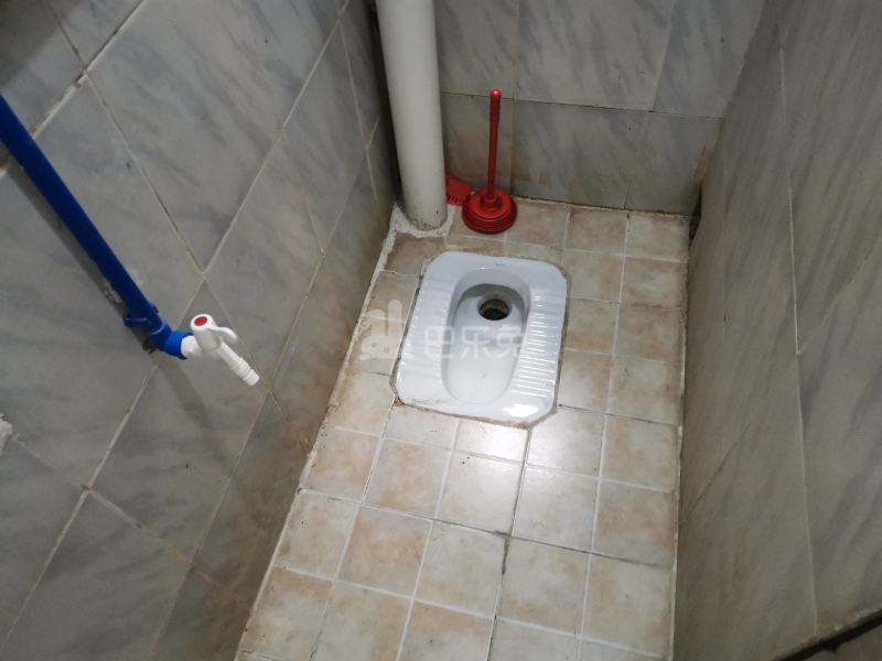 下元岗东街三巷3号5307997卫生间图4