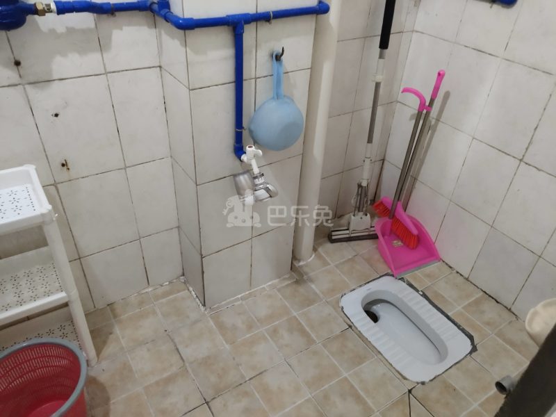 下元岗东街一巷9号5308010卫生间图8