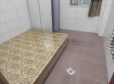 珠村中东新街六巷7号 