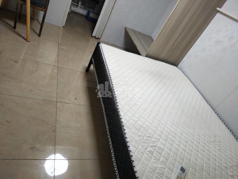 博学家园5321249卧室图3