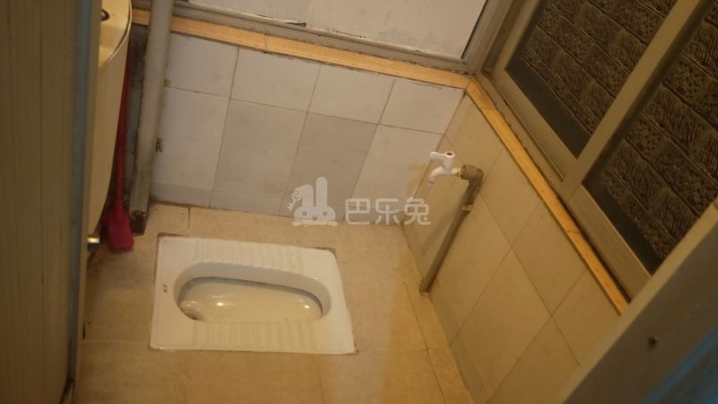 时代家园（大山村沙涌坊南大街一巷2号之一）5334990卫生间图6