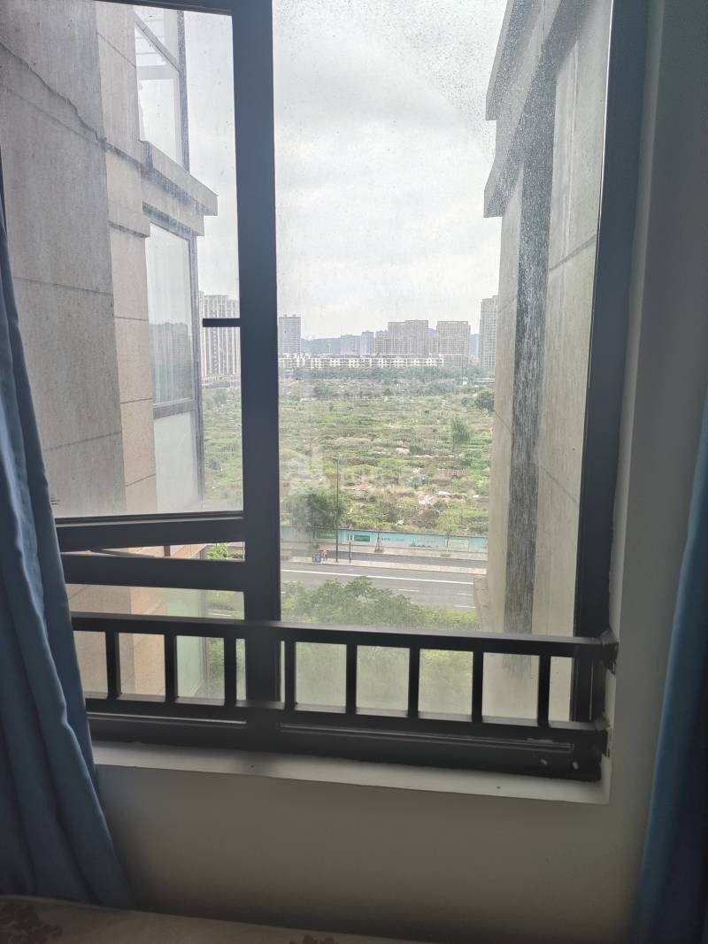 北辰奥园5346325卧室窗户图8