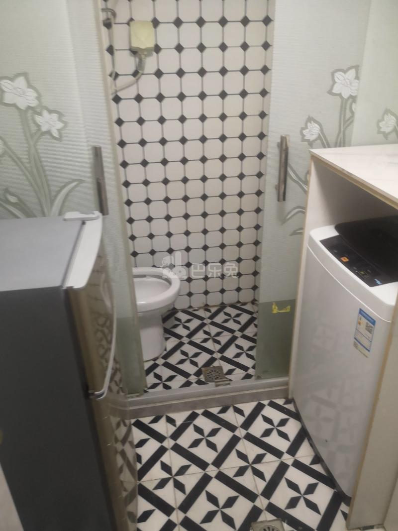 白杨小区5368537卫生间图1