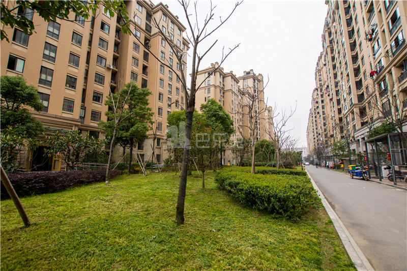 杭州余杭_仓溢绿苑_1室1厅1卫_合租朝东南_海曙路128号-杭州巴乐兔