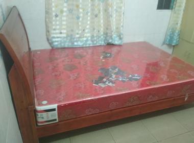 怡家公寓（上社口岗新大街十二巷2号） 1室0厅1卫