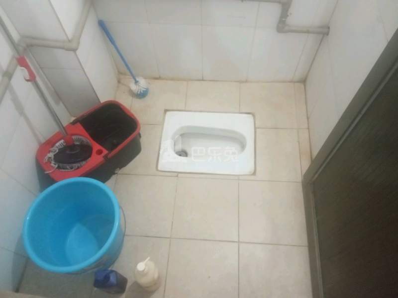 温馨家园（大石礼村北约街二巷6号）5408928卫生间图10