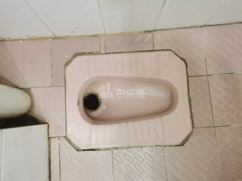 棠溪中约西街三号之一5422557卫生间图5