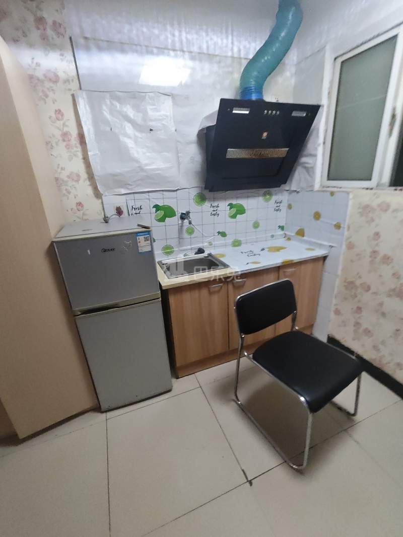 振东苑5424541厨房图4