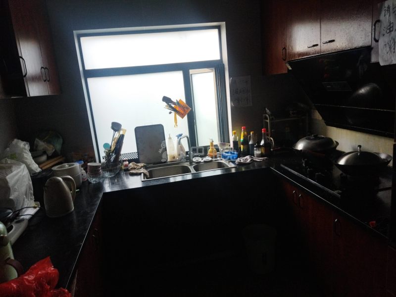 海德花园5491368厨房图8