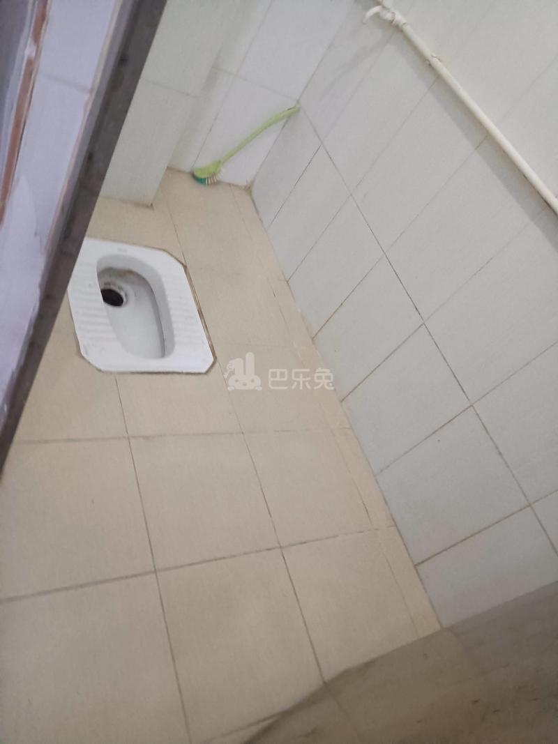 三元里棠下南街六巷19号5451627卫生间图6