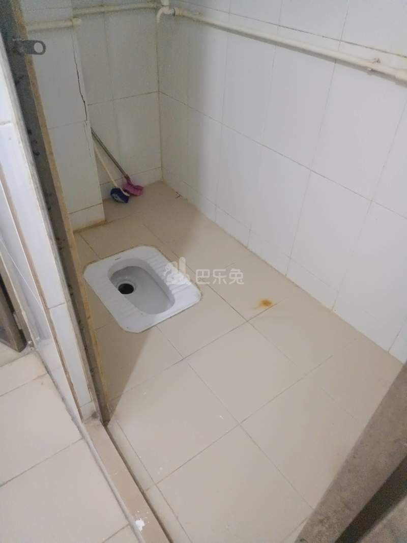 三元里棠下南街六巷19号5451643卫生间图6