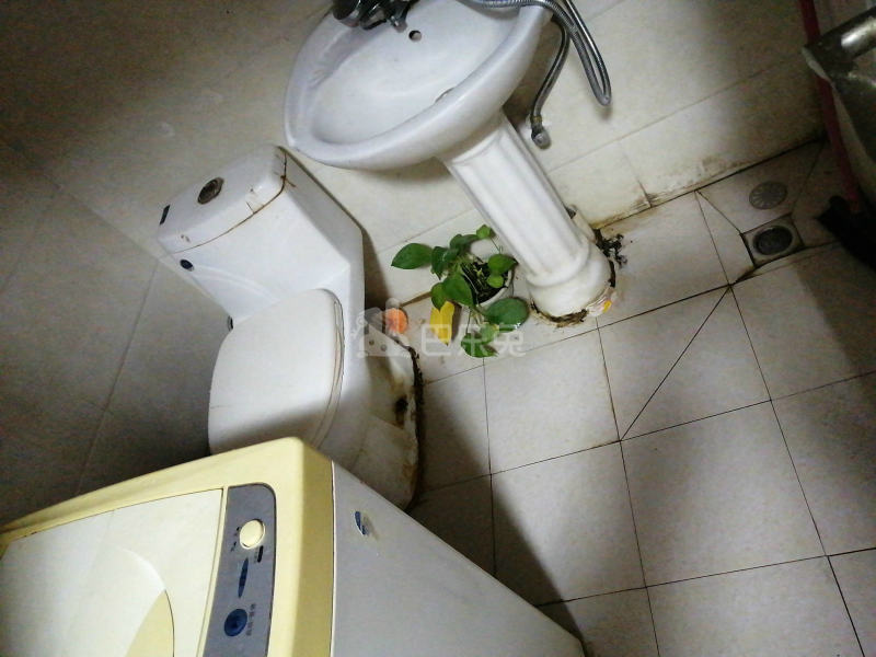 瀚林苑（浦东）5453433卫生间图8