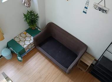 吉祥家园（棠新街98号） 1室1厅1卫