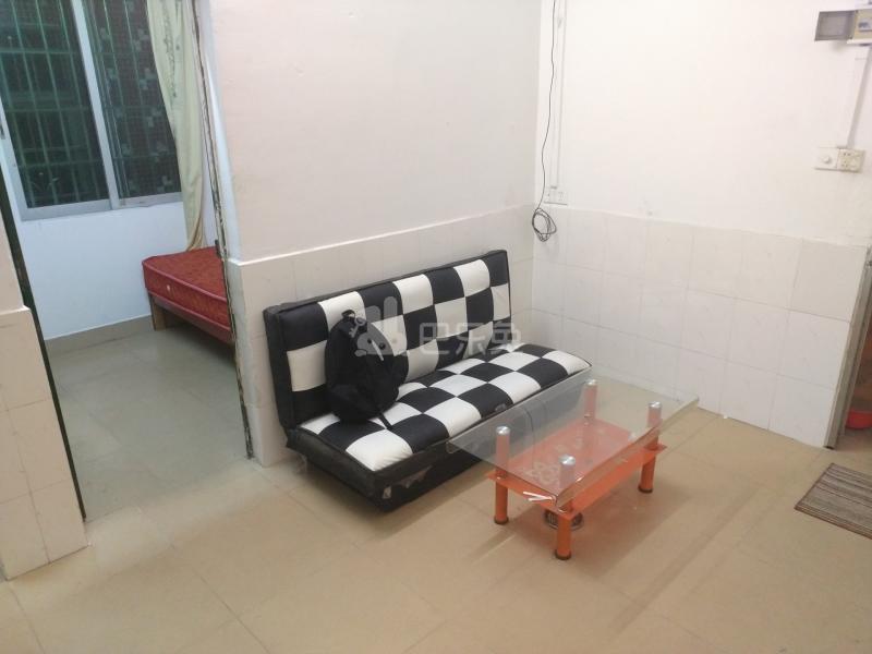 石溪牛涌街北七巷2号5466193客厅图13