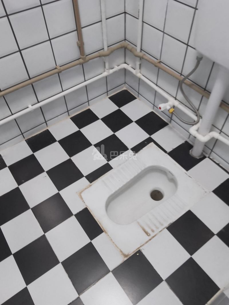 桃源公寓（上社南新大街32号）5469218卫生间图5