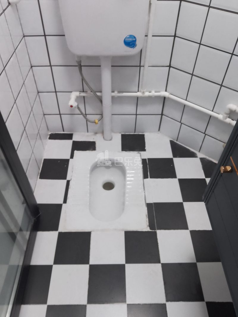 桃源公寓（上社南新大街32号）5469219卫生间图5