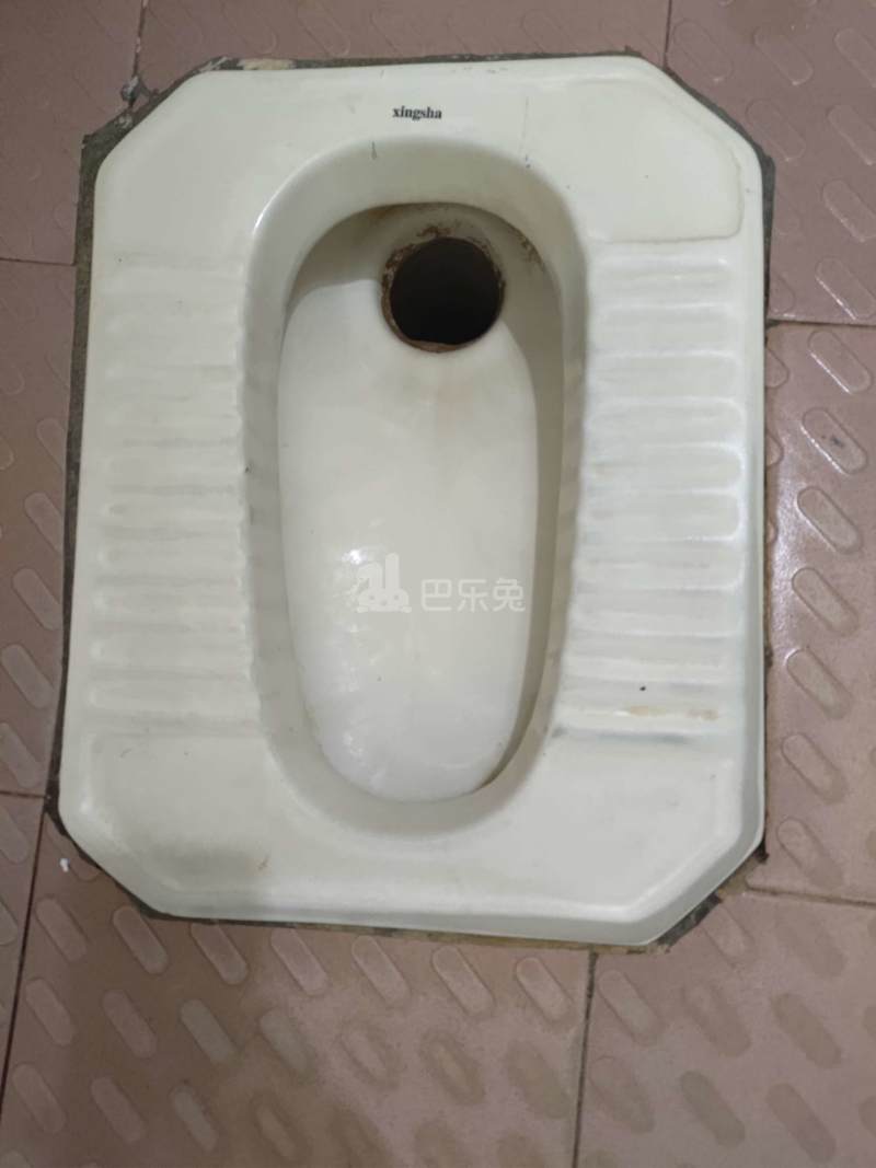 江夏村西头大街4号5473812卫生间图6