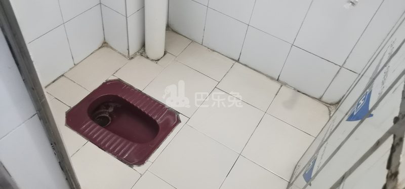 江夏村青龙大街二巷6号5484657卫生间图2