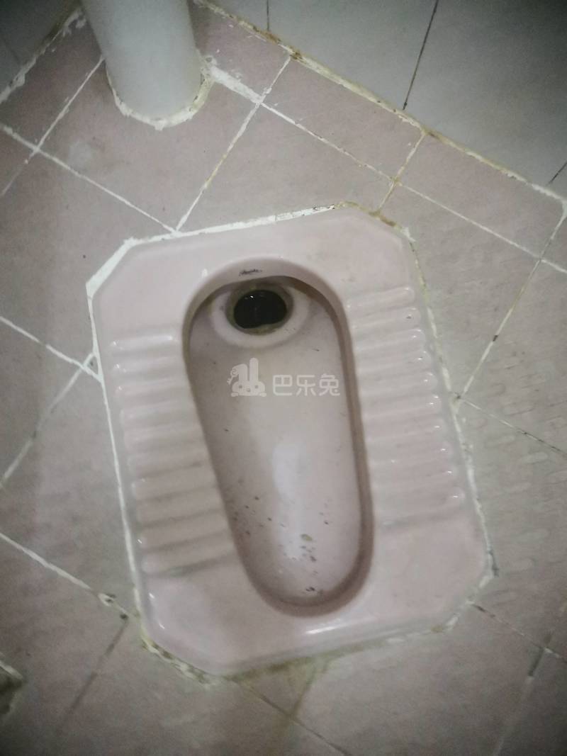 沙涌北六巷11号5504709卫生间图6