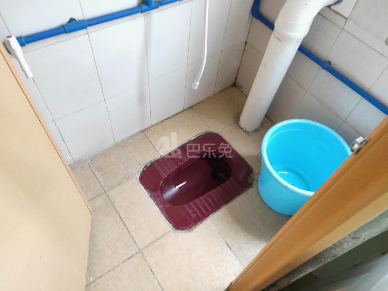 上元岗西街二巷2号5510726卫生间图7