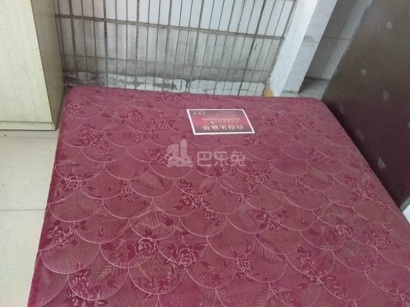 三元里棠下南街一巷四号5519087卧室图1