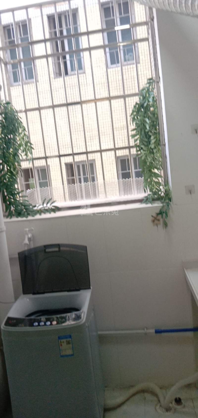 阳光星窝国际青年公寓（沙涌北西街4号）5519944卧室窗户图8