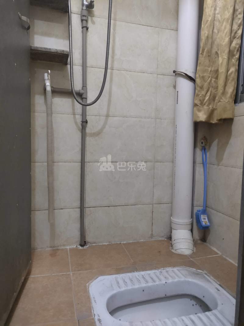 沙涌北六巷40号5538072卫生间图4