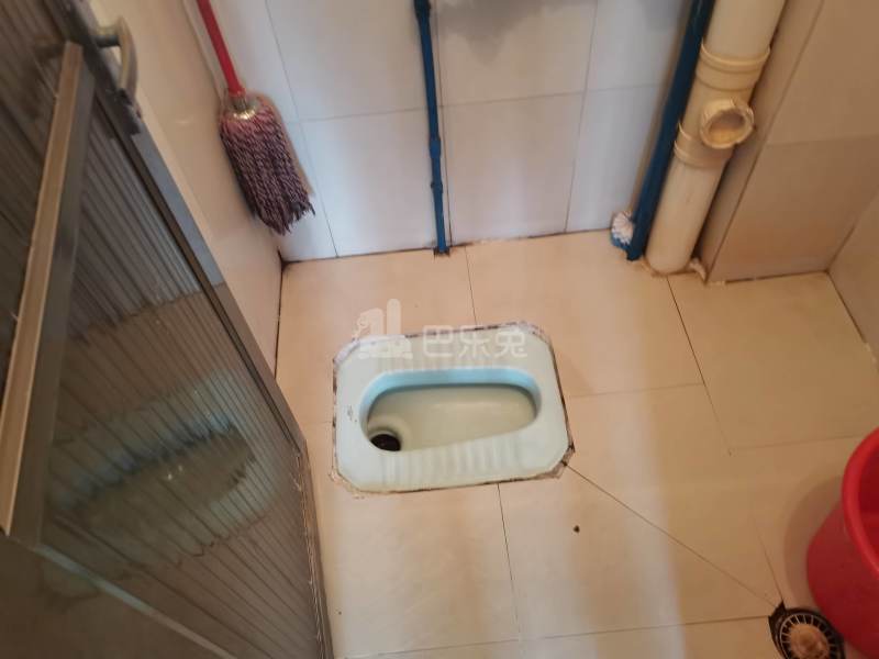 江夏村荷木岭五巷9号5546906卫生间图8
