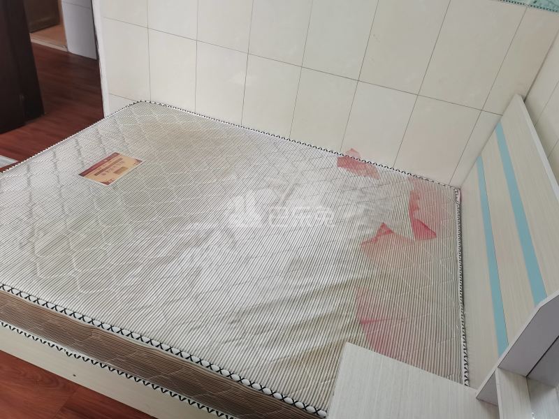 江夏村荷木岭五巷9号5546906卧室图1