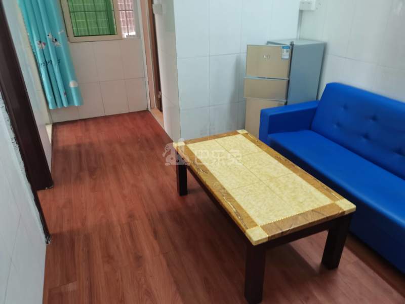 江夏村荷木岭五巷9号5546906客厅图4