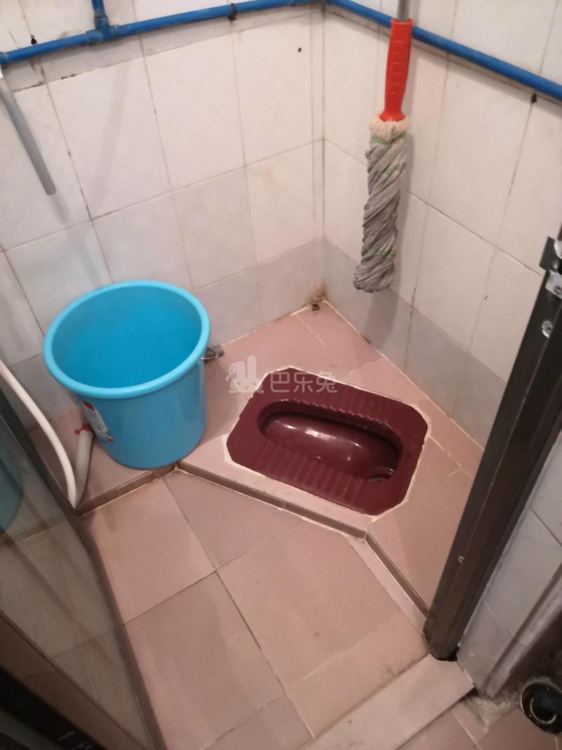 江夏村西街六巷20号5546938卫生间图5