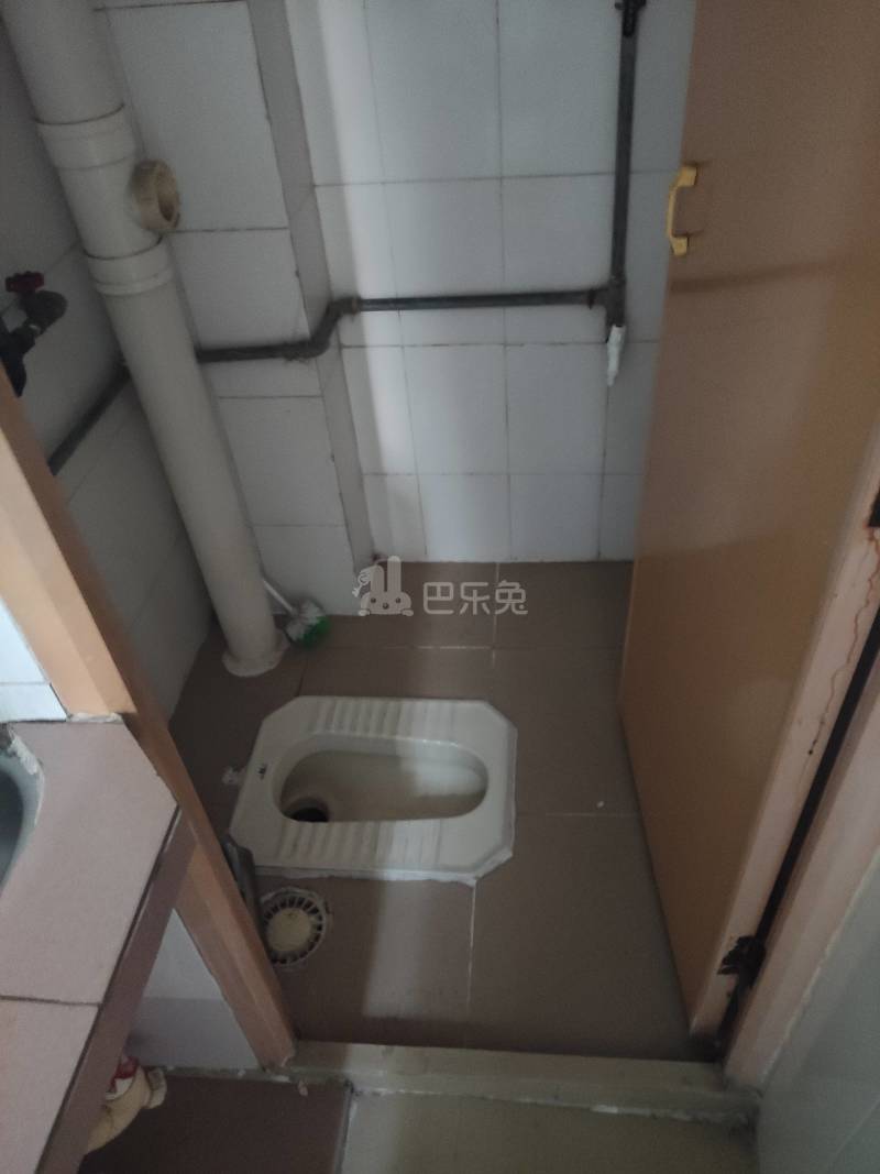 棠东正南大街四巷17号5558322卫生间图9