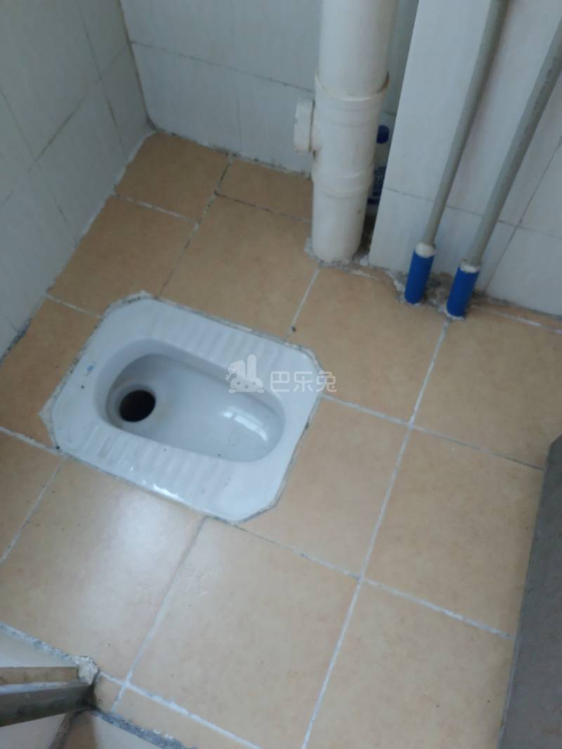 鹤边员村龙塘街一巷20号5565325卫生间图7