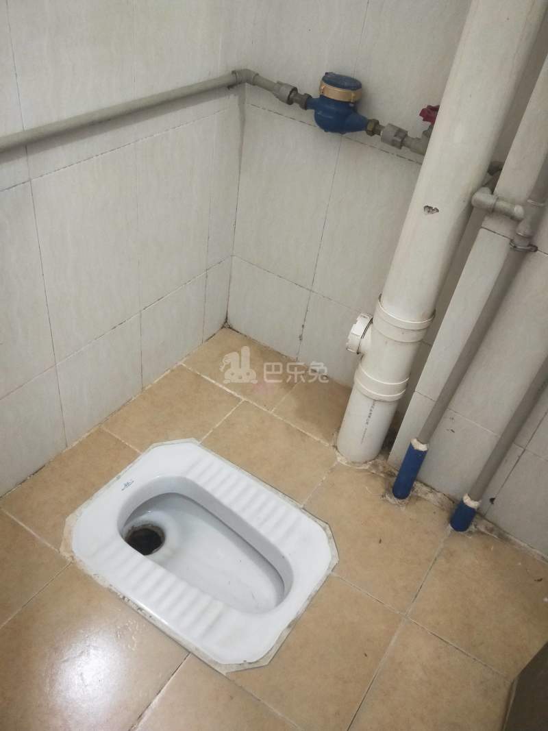 鹤边员村龙塘街一巷20号5565331卫生间图11