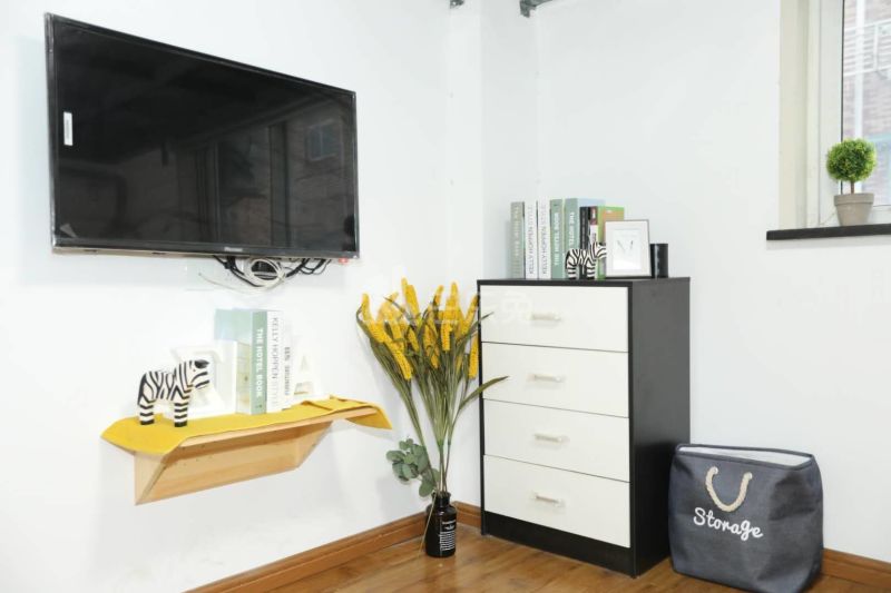 乐乎有朋-生活公寓5566063客厅图4