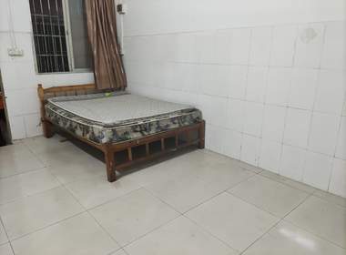 珠村东乔大街五巷14号 