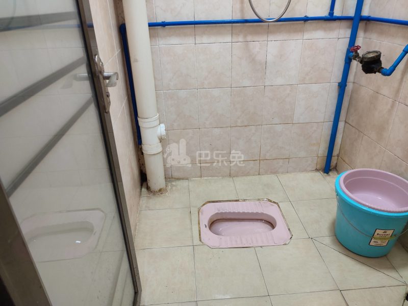 江夏北二路五巷3号5642305卫生间图6