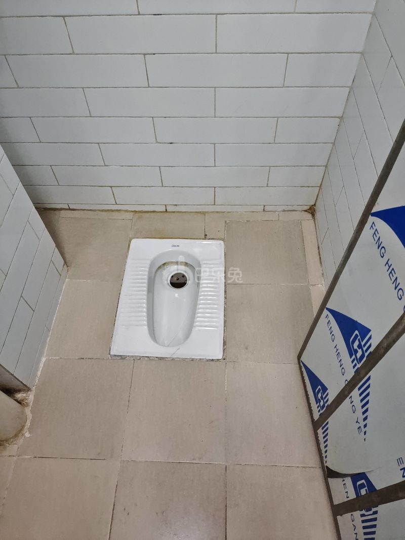 珠村中东上街四巷7号5658211卫生间图34