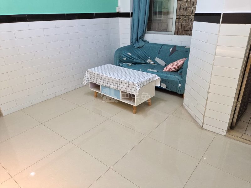 珠村中东上街四巷7号5658211客厅图14