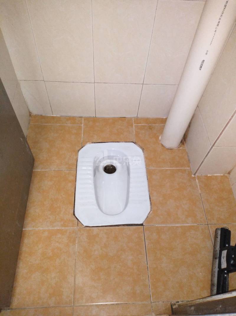 下元岗西大街南9号5668960卫生间图6