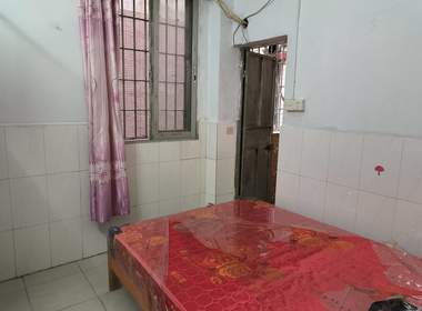 黄村龙步大街禾塘巷13号 