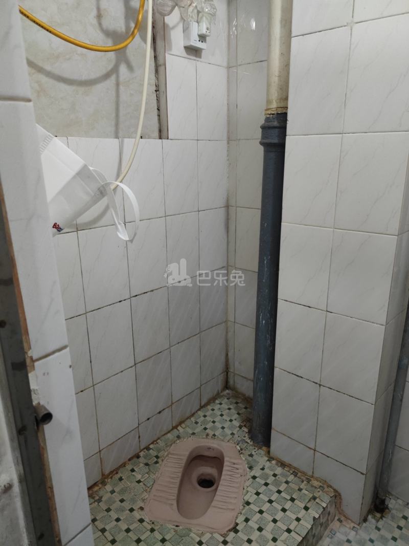 棠溪南天外八巷12号5688072卫生间图8